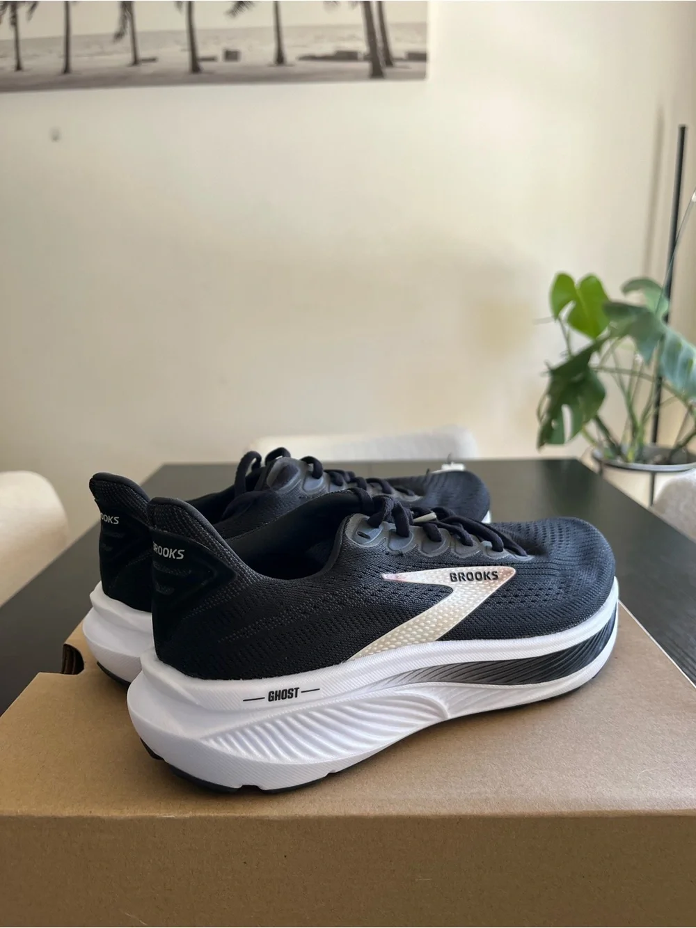 Brooks Black & White Ghost Running Shoes